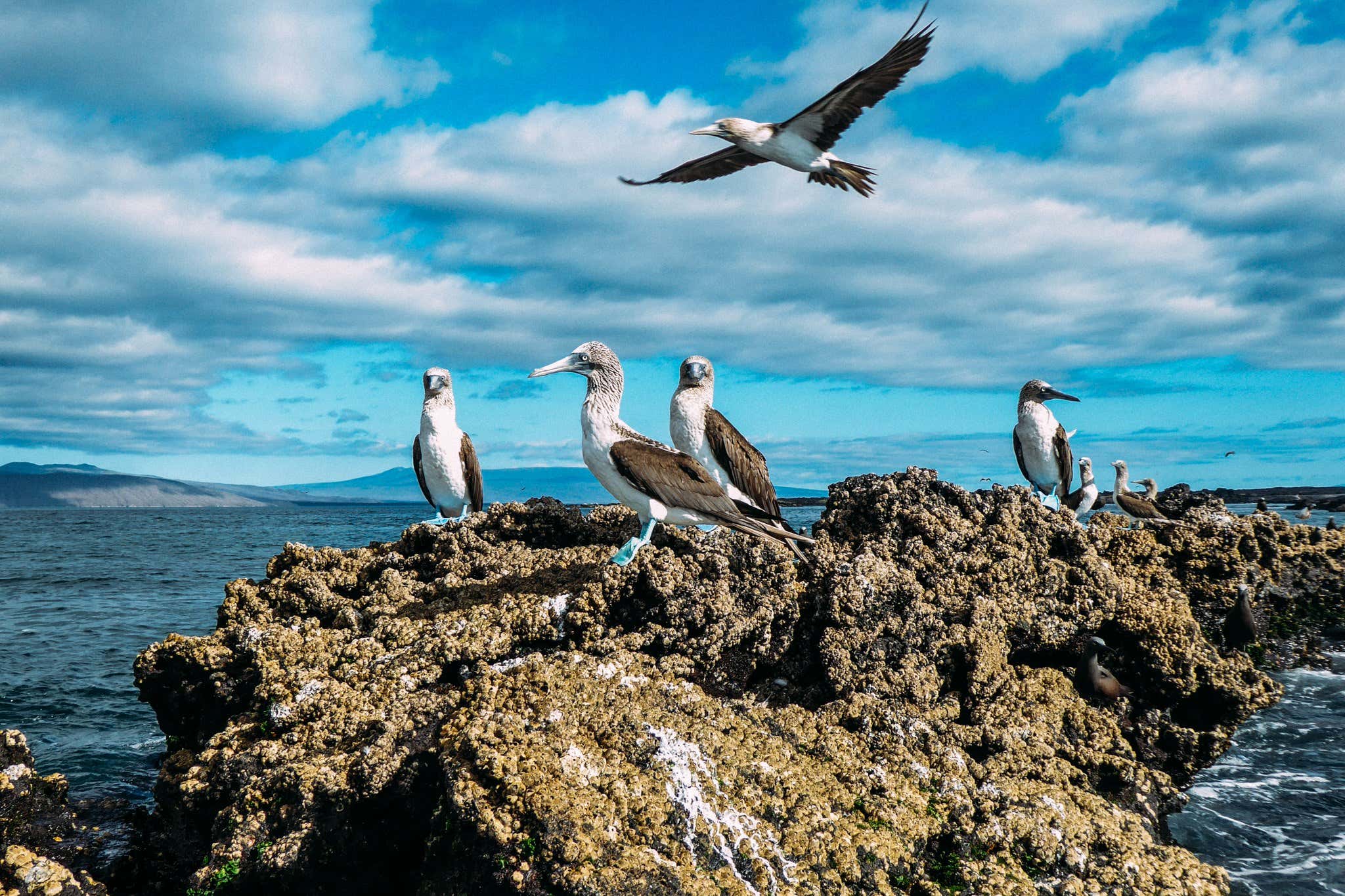 New Scientist. Science news and long reads from expert journalists, covering developments in science, technology, health and the environment on the website and the magazine.