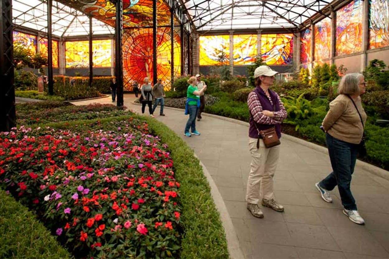 Exploring the botanical gardens in Mexico, Natural Habitat