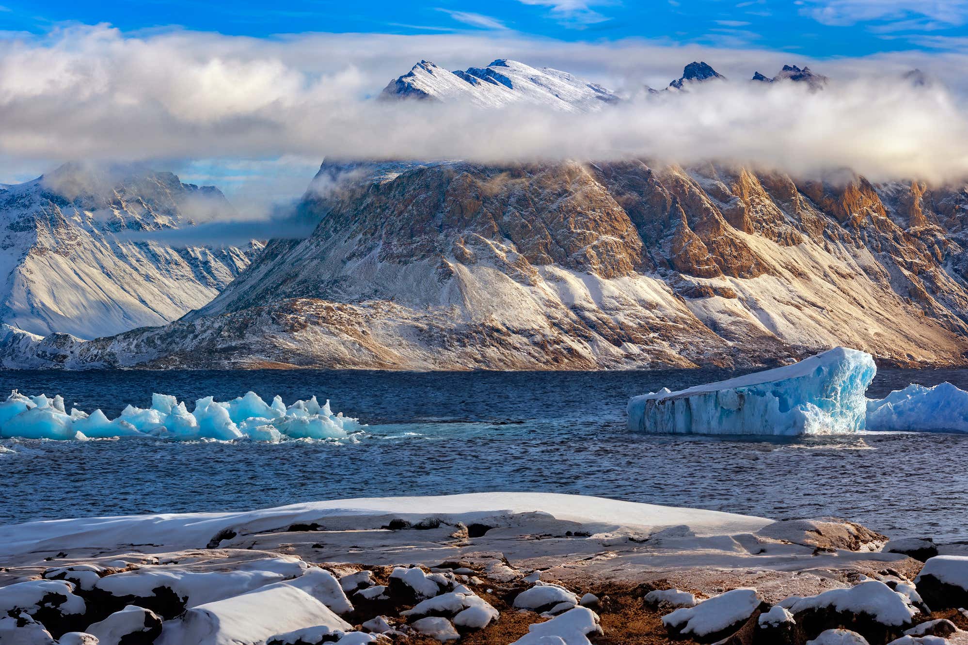 New Scientist. Science news and long reads from expert journalists, covering developments in science, technology, health and the environment on the website and the magazine.
