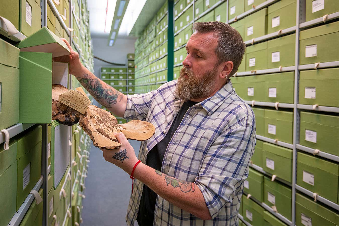 Kew's Fungarium collection manager Lee Davies