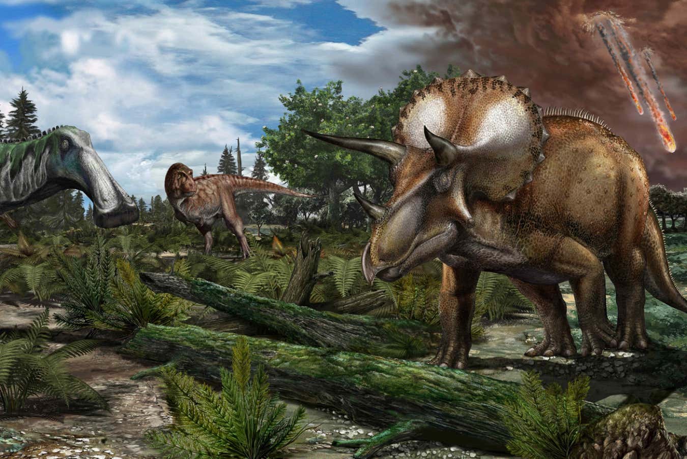 Rethink of fossils hints dinosaurs still thrived before asteroid hit