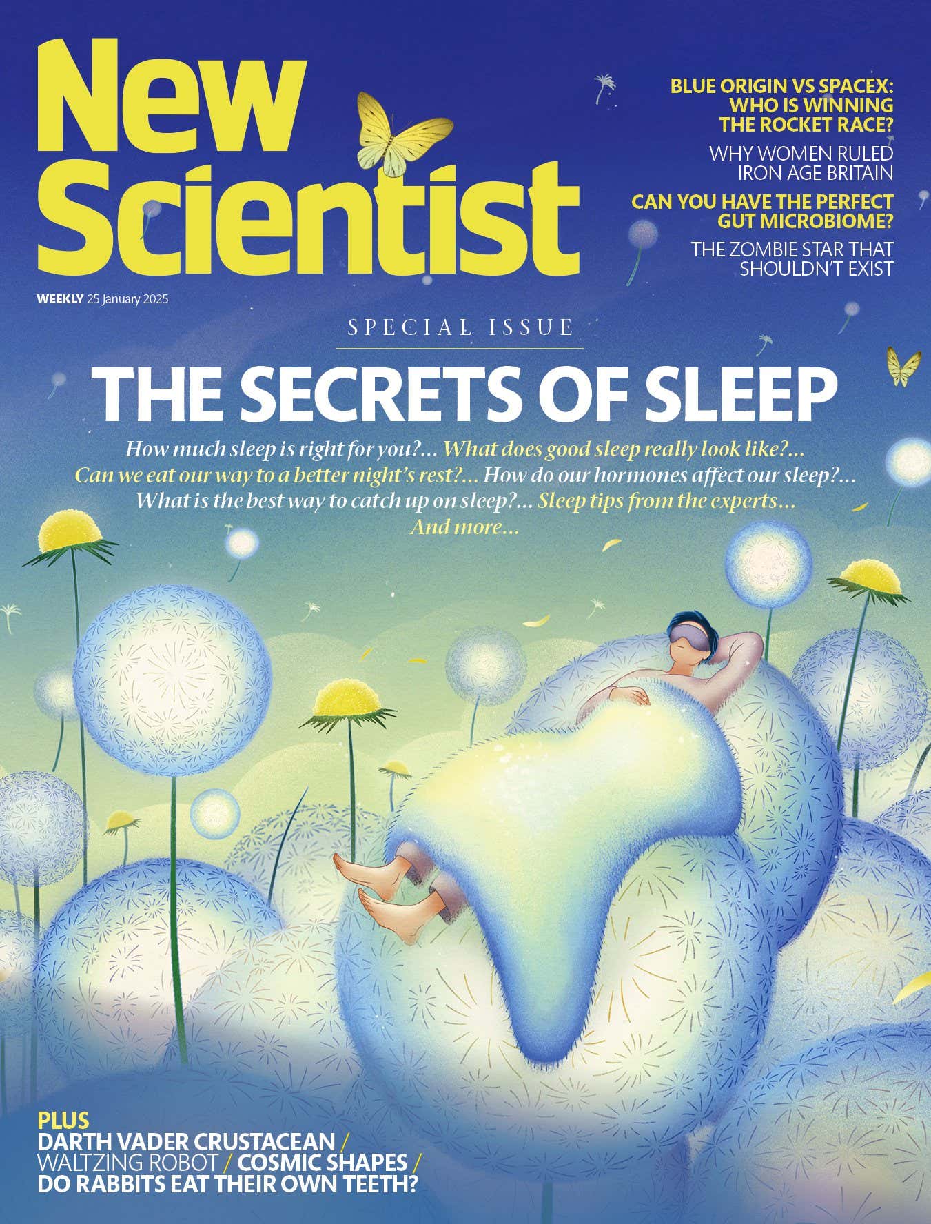 New Scientist issue 3527 cover