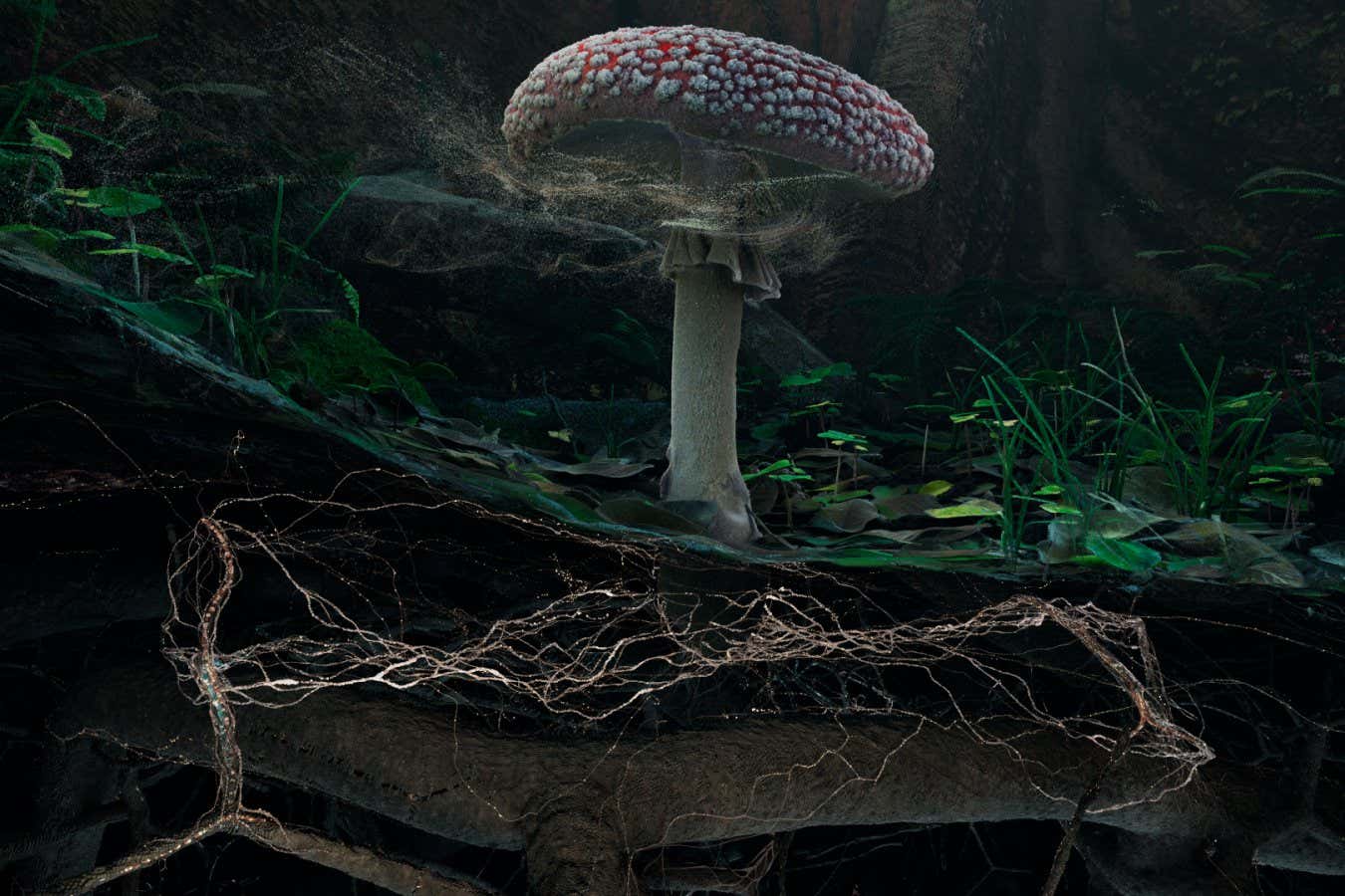 Fly Agaric (detail) ? Marshmallow Laser Feast