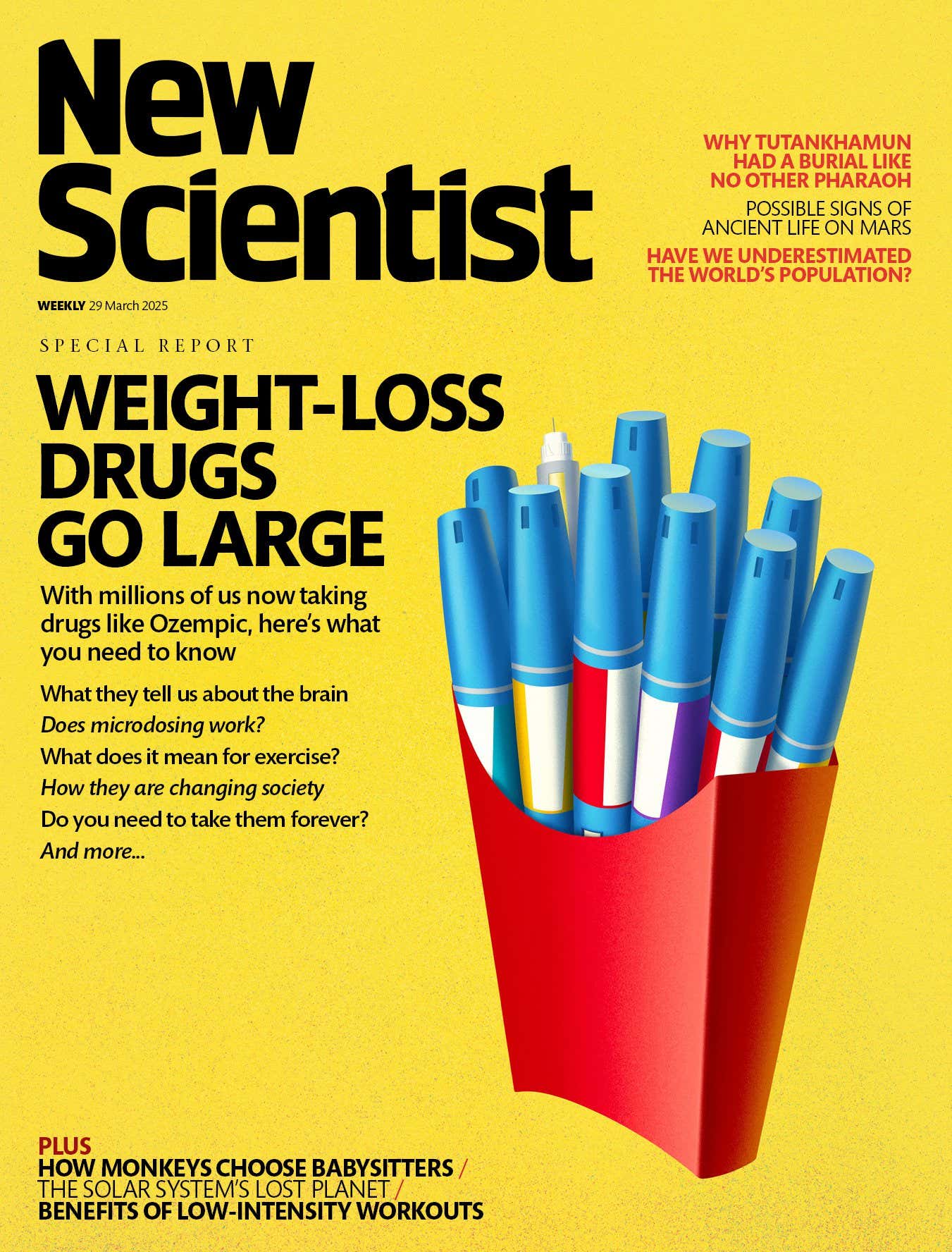 New Scientist issue 3536 cover