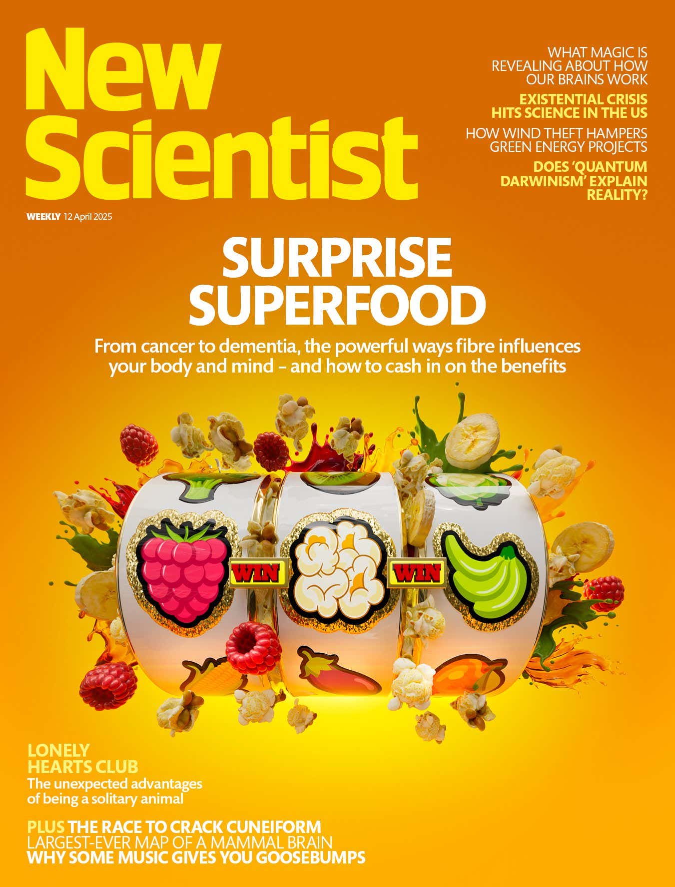 New Scientist issue 3538 cover