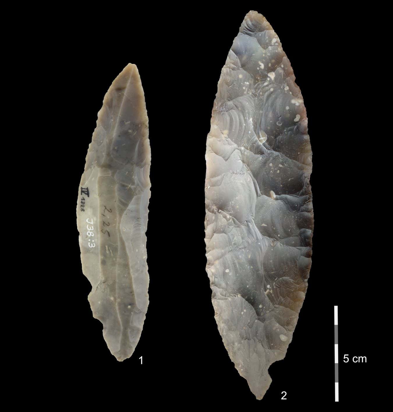 Leaf-shaped stone artefacts from Ilsenhöhle cave near the town of Ranis in Germany
