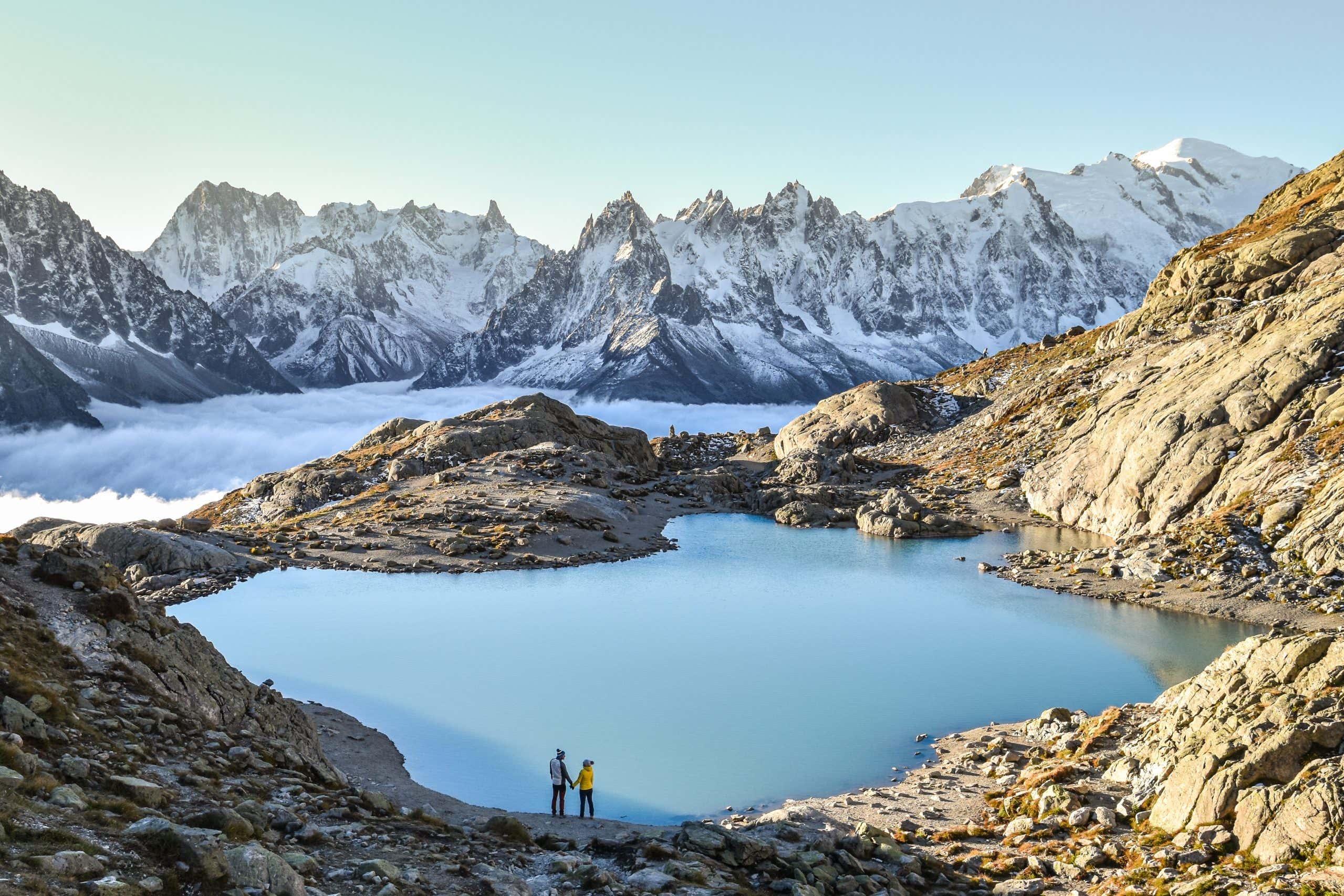 New Scientist. Science news and long reads from expert journalists, covering developments in science, technology, health and the environment on the website and the magazine.