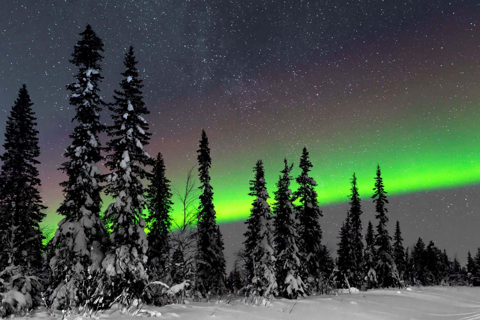 Abisko National Park with Northern lights above, Abisko National Park, Sweden