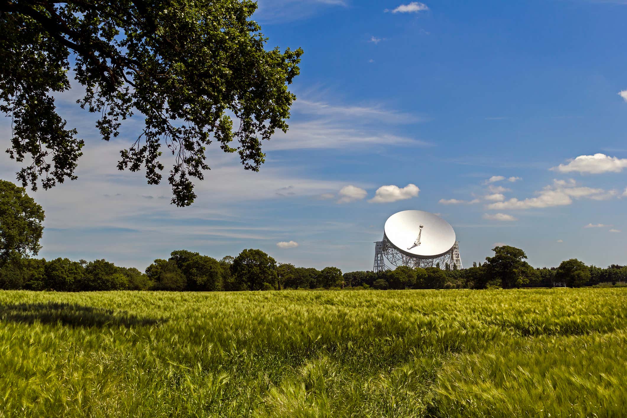 New Scientist. Science news and long reads from expert journalists, covering developments in science, technology, health and the environment on the website and the magazine.