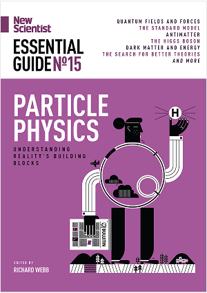 Popular Edition Particle Physics
