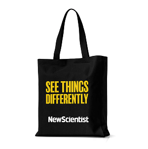 A picture of a tote bag
