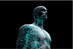 Immune system